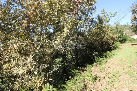 Terra a Goaes, Braga, Goaes - € 120.000 | Ref: ZMPT583735 - foto 14