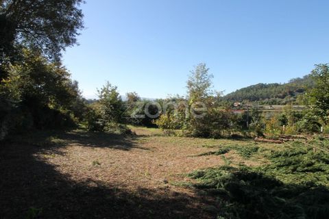 Terra a Goaes, Braga, Goaes - € 120.000 | Ref: ZMPT583735 - foto 15