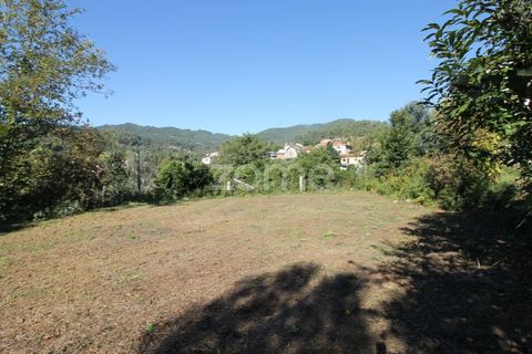 Terra a Goaes, Braga, Goaes - € 120.000 | Ref: ZMPT583735 - foto 16