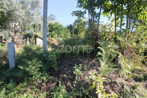 Terra a Goaes, Braga, Goaes - € 120.000 | Ref: ZMPT583735 - foto 17