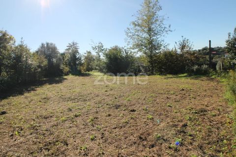 Terra a Goaes, Braga, Goaes - € 120.000 | Ref: ZMPT583735 - foto 18