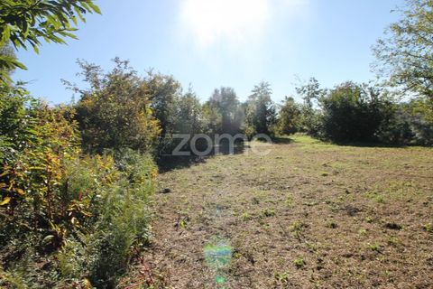 Terra a Goaes, Braga, Goaes - € 120.000 | Ref: ZMPT583735 - foto 19