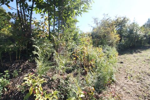 Terra a Goaes, Braga, Goaes - € 120.000 | Ref: ZMPT583735 - foto 20