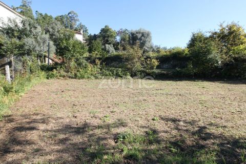 Terra a Goaes, Braga, Goaes - € 120.000 | Ref: ZMPT583735 - foto 21
