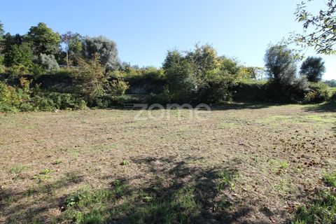 Terra a Goaes, Braga, Goaes - € 120.000 | Ref: ZMPT583735 - foto 22