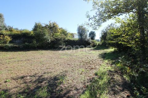 Terra a Goaes, Braga, Goaes - € 120.000 | Ref: ZMPT583735 - foto 23