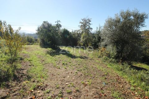 Terra a Goaes, Braga, Goaes - € 120.000 | Ref: ZMPT583735 - foto 24