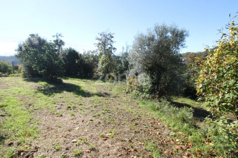 Terra a Goaes, Braga, Goaes - € 120.000 | Ref: ZMPT583735 - foto 25