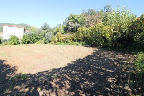 Terra a Goaes, Braga, Goaes - € 120.000 | Ref: ZMPT583735 - foto 28