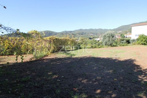 Terra a Goaes, Braga, Goaes - € 120.000 | Ref: ZMPT583735 - foto 30