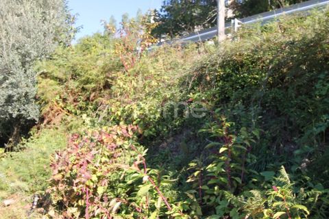 Terra a Goaes, Braga, Goaes - € 120.000 | Ref: ZMPT583735 - foto 31