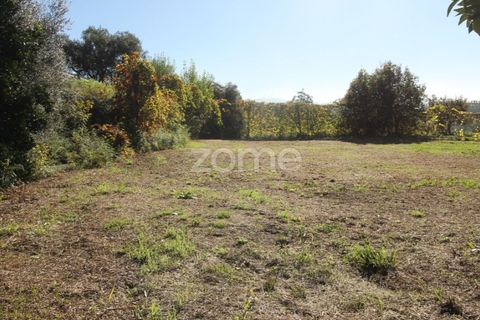 Terra a Goaes, Braga, Goaes - € 120.000 | Ref: ZMPT583735 - foto 32