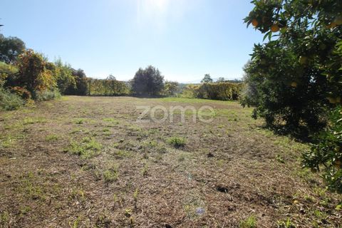 Terra a Goaes, Braga, Goaes - € 120.000 | Ref: ZMPT583735 - foto 34