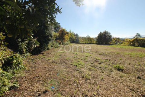 Terra a Goaes, Braga, Goaes - € 120.000 | Ref: ZMPT583735 - foto 36
