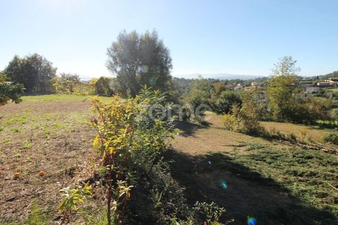 Terra a Goaes, Braga, Goaes - € 120.000 | Ref: ZMPT583735 - foto 38