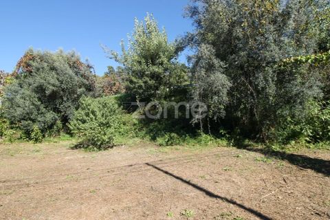 Terra a Goaes, Braga, Goaes - € 120.000 | Ref: ZMPT583735 - foto 40