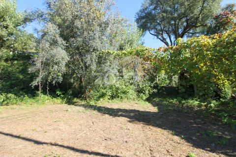 Terra a Goaes, Braga, Goaes - € 120.000 | Ref: ZMPT583735 - foto 41