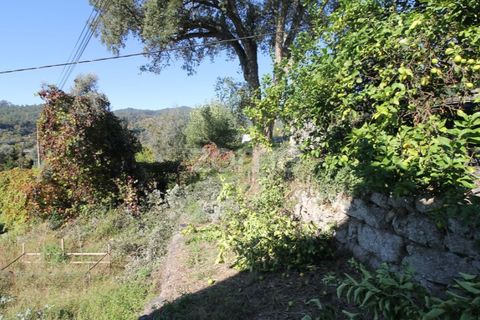 Terra a Goaes, Braga, Goaes - € 120.000 | Ref: ZMPT583735 - foto 43