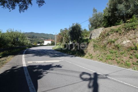Terra a Goaes, Braga, Goaes - € 120.000 | Ref: ZMPT583735 - foto 44