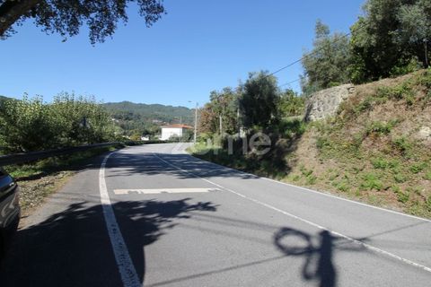 Terra a Goaes, Braga, Goaes - € 120.000 | Ref: ZMPT583735 - foto 45