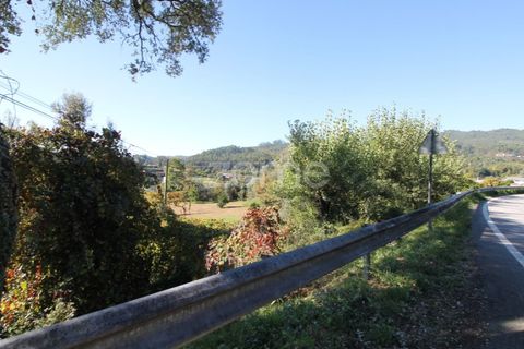 Terra a Goaes, Braga, Goaes - € 120.000 | Ref: ZMPT583735 - foto 46