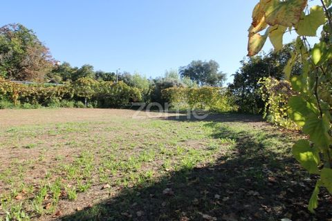 Terra a Goaes, Braga, Goaes - € 120.000 | Ref: ZMPT583735 - foto 26