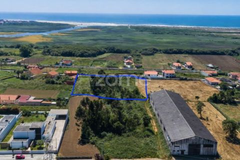 Helårsgrund i Paramos, Aveiro, Paramos - € 210.000 | Ref: ZMPT583747 - foto 3