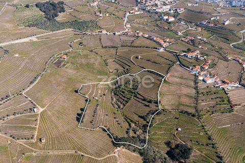 Terra a Fontelas, Vila Real, Fontelas - € 140.000 | Ref: ZMPT583593 - foto 3