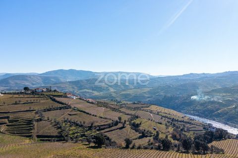 Terra a Fontelas, Vila Real, Fontelas - € 140.000 | Ref: ZMPT583593 - foto 10