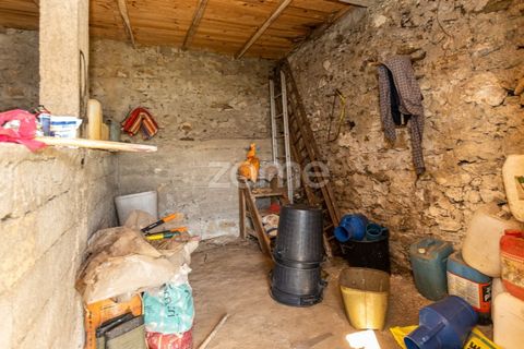 Terra a Fontelas, Vila Real, Fontelas - € 140.000 | Ref: ZMPT583593 - foto 14