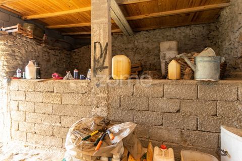 Terra a Fontelas, Vila Real, Fontelas - € 140.000 | Ref: ZMPT583593 - foto 15