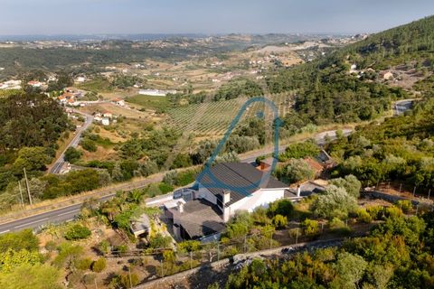 Villa a Batalha, Leiria, Batalha - € 330.000 | Ref: CV11001-329 - foto 45