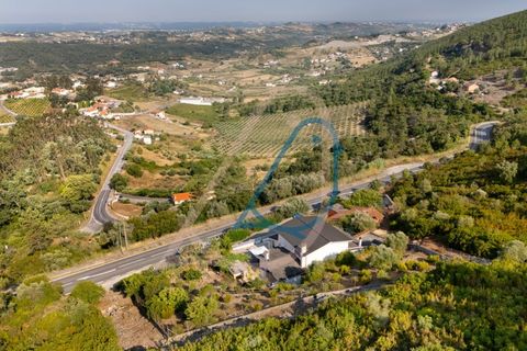 Villa a Batalha, Leiria, Batalha - € 330.000 | Ref: CV11001-329 - foto 46