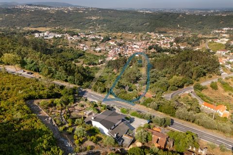 Villa a Batalha, Leiria, Batalha - € 330.000 | Ref: CV11001-329 - foto 48