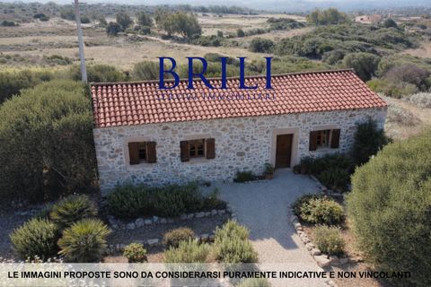 Terra a Aglientu, Sassari, Aglientu - € 600.000 | Ref: OT-003GS - foto 2