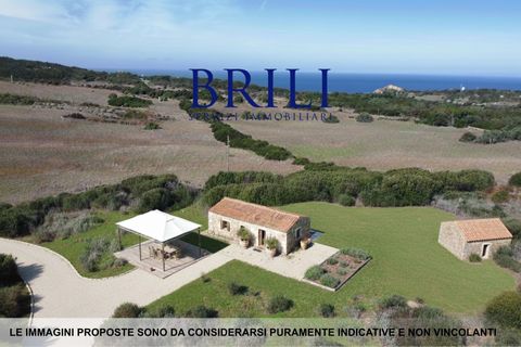 Terra a Aglientu, Sassari, Aglientu - € 600.000 | Ref: OT-003GS - foto 3
