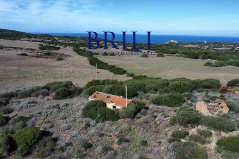 Terra a Aglientu, Sassari, Aglientu - € 600.000 | Ref: OT-003GS - foto 4