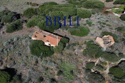 Terra a Aglientu, Sassari, Aglientu - € 600.000 | Ref: OT-003GS - foto 5