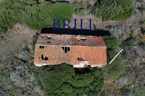 Terra a Aglientu, Sassari, Aglientu - € 600.000 | Ref: OT-003GS - foto 6