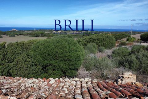 Terra a Aglientu, Sassari, Aglientu - € 600.000 | Ref: OT-003GS - foto 7