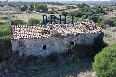 Terra a Aglientu, Sassari, Aglientu - € 600.000 | Ref: OT-003GS - foto 8