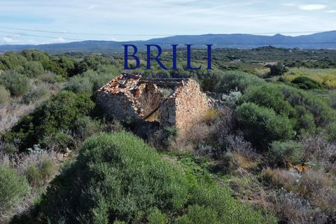 Terra a Aglientu, Sassari, Aglientu - € 600.000 | Ref: OT-003GS - foto 9