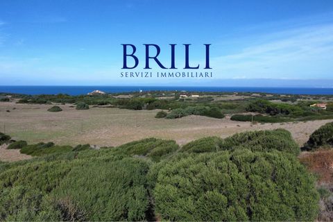 Terra a Aglientu, Sassari, Aglientu - € 600.000 | Ref: OT-003GS - foto 10