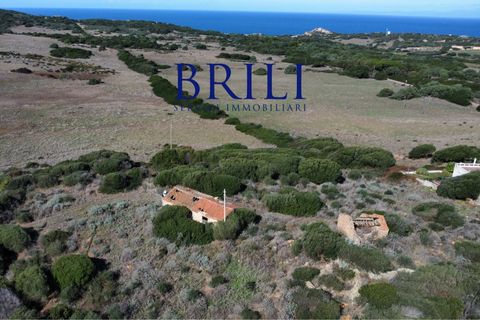Terra a Aglientu, Sassari, Aglientu - € 600.000 | Ref: OT-003GS - foto 11