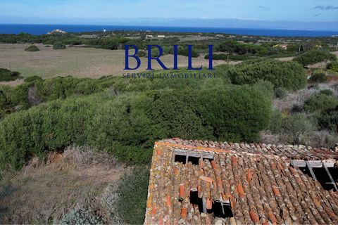 Terra a Aglientu, Sassari, Aglientu - € 600.000 | Ref: OT-003GS - foto 12