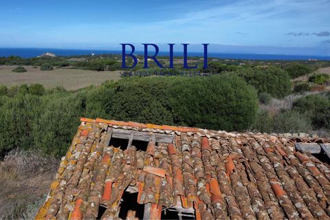 Terra a Aglientu, Sassari, Aglientu - € 600.000 | Ref: OT-003GS - foto 13