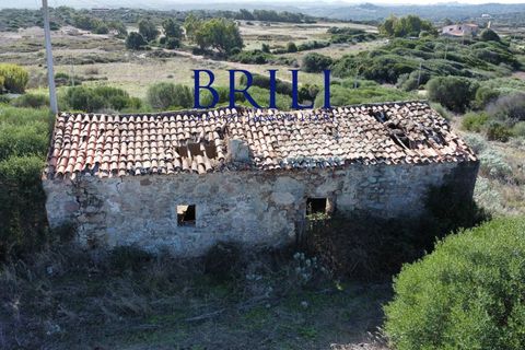 Terra a Aglientu, Sassari, Aglientu - € 600.000 | Ref: OT-003GS - foto 14