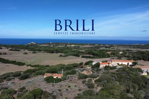 Terra a Aglientu, Sassari, Aglientu - € 600.000 | Ref: OT-003GS - foto 15