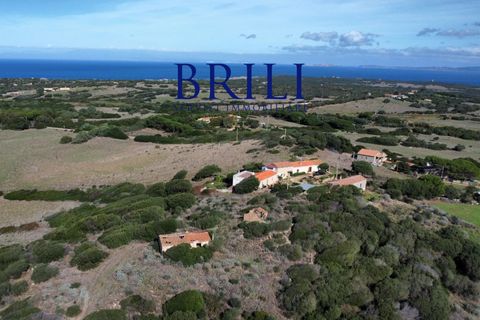 Terra a Aglientu, Sassari, Aglientu - € 600.000 | Ref: OT-003GS - foto 16