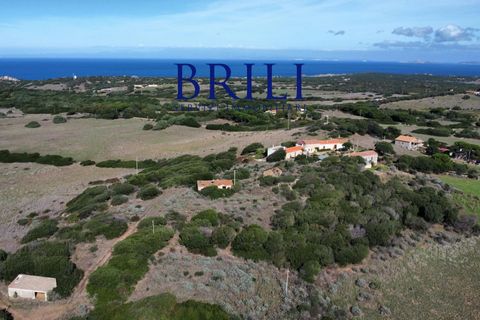 Terra a Aglientu, Sassari, Aglientu - € 600.000 | Ref: OT-003GS - foto 17